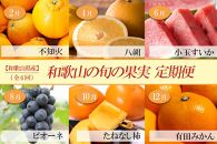 和歌山の旬の果実を偶数月にお届け全6回定期便