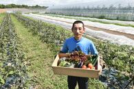 【先行予約】北海道旭川産　旬の無農薬栽培 野菜の詰め合わせ　6～8種（3～5kg）_02944
