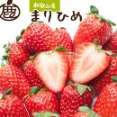 朝摘み完熟まりひめ約600g（300g前後×2トレイ）［和歌山ブランド苺まりひめ］［こだわりの土耕栽培のいちごを農家直送］［IKE101］
