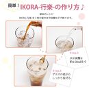 IKORA-行楽- 215g 飲料 ドリンク 食品