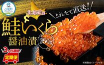 【定期便】北海道産 鮭いくら醤油漬　250g×3ヶ月連続発送 【 いくら醤油漬け いくら醤油漬 北海道 小分け 鮭 海産物 魚介類 水産物応援 水産物支援 】