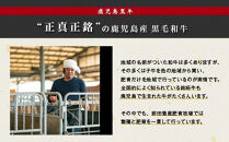 【90周年記念】鹿児島県産黒毛和牛切り落とし