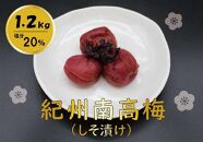 紀州綜合食品 紀州南高梅 しそ漬1.2kg 中粒 梅干し