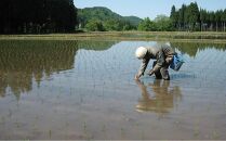 ＜令和6年産＞中魚沼産「新之助」2kg ＋ 魚沼産コシヒカリ「金印」2kg 食べ比べセット