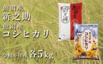 ＜令和6年産＞中魚沼産「新之助」5kg ＋ 魚沼産コシヒカリ「金印」5kg 食べ比べセット