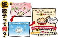 【大阪名物】大阪ふくちぁん野菜餃子 冷凍生餃子 108個 ［36個入×3セット］
