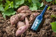 本格焼酎&nbsp;五島芋&nbsp;720ml&nbsp;1本＜五島列島酒造＞【ポイント交換専用】