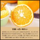 甘夏｜和歌山県海南市から産地直送でお届け｜4kg｜ご家庭用【2025年4月より発送開始】