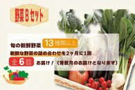 【定期便 / 全6回：奇数月お届け】旬の新鮮野菜セットB（たっぷり13種類以上）