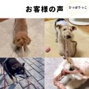 ＜動物看護士　制作＞愛犬ハッピーセット