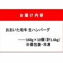 お肉屋さんの「おおいた和牛 生ハンバーグ」たっぷり1.6kg！（160g×10個）_2227R