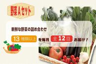 【毎月お届け全12回】旬の新鮮野菜セットＡ（たっぷり13種類以上）