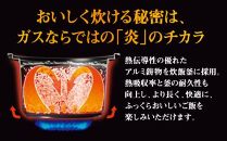 【プロパンガス・ホワイト】家庭用マイコンジャー付ガス炊飯器「炊きわざ」5合タイプ　PR-M09TV