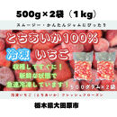 【スムージー・かんたんジャムに最適】冷凍いちごとちあいかフレッシュフローズン（500ｇ×2袋）