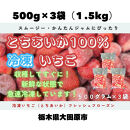 【スムージー・かんたんジャムに最適】冷凍いちごとちあいかフレッシュフローズン（500ｇ×3袋）