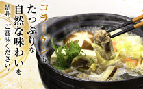 すっぽん鍋一人前と卵黄のはちみつ漬け