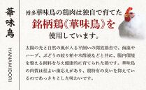 博多華味鳥　もつ鍋セット　３～４人前　HM-A1【もつ鍋 もつなべ 鍋 なべ もつ 鍋セット 鍋料理 牛もつ 冷凍 国産 人気 福岡 土産 九州 博多 ご当地 福岡県 筑前町 AS004】