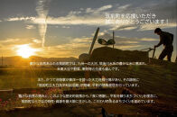 ＜期間限定！～12月31日まで寄附額改定＞【年内発送】博多華味鳥　水たき・もつ鍋セット&nbsp;６～８人前&nbsp;H-C1W【もつ鍋&nbsp;もつなべ&nbsp;鍋&nbsp;なべ&nbsp;もつ&nbsp;鍋セット&nbsp;鍋料理&nbsp;牛もつ&nbsp;水炊き&nbsp;肉&nbsp;鶏&nbsp;水炊き&nbsp;お肉&nbsp;水炊き&nbsp;とりにく&nbsp;水炊き&nbsp;有名店&nbsp;水炊き&nbsp;食品&nbsp;福岡名物&nbsp;人気&nbsp;おすすめ&nbsp;送料無料&nbsp;はなみどり&nbsp;ギフト福岡県&nbsp;筑前町&nbsp;AS005】