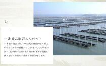 有明海産一番摘　味付けおかず海苔　6袋入詰合セット(福岡有明海苔5つの味 8切240枚)【海苔 のり ノリ 有明海苔 有明のり 詰合せ 家庭用 お取り寄せグルメ ご飯のお供 お取り寄せ お土産 九州 ご当地グルメ 福岡土産 取り寄せ グルメ 福岡県 筑前町 BX001】