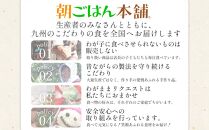 ＜令和6年産＞福岡県産ブランド米「夢つくし」無洗米5kg【米 ブランド米 ブランド 白米 無洗米 夢つくし 令和6年産 5kg 5キロ 家庭用  お取り寄せ お土産 福岡県産 取り寄せ グルメ 福岡県 筑前町 CE003】