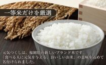 ＜令和7年産＞福岡県産ブランド米「元気つくし」無洗米20kg&nbsp;＜筑前町＞【米&nbsp;ブランド米&nbsp;ブランド&nbsp;白米&nbsp;元気つくし&nbsp;令和7年産&nbsp;20kg&nbsp;20キロ&nbsp;無洗米&nbsp;家庭用&nbsp;&nbsp;お取り寄せ&nbsp;お土産&nbsp;福岡県産&nbsp;取り寄せ&nbsp;グルメ&nbsp;福岡県&nbsp;筑前町&nbsp;CE004】