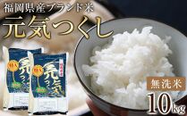 ＜令和7年産＞福岡県産ブランド米「元気つくし」無洗米10kg&nbsp;＜筑前町＞【米&nbsp;ブランド米&nbsp;ブランド&nbsp;白米&nbsp;元気つくし&nbsp;令和7年産&nbsp;10kg&nbsp;10キロ&nbsp;無洗米&nbsp;家庭用&nbsp;&nbsp;お取り寄せ&nbsp;お土産&nbsp;福岡県産&nbsp;取り寄せ&nbsp;グルメ&nbsp;福岡県&nbsp;筑前町&nbsp;CE005】