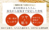 ＜令和7年産＞福岡県産ブランド米「元気つくし」無洗米10kg&nbsp;＜筑前町＞【米&nbsp;ブランド米&nbsp;ブランド&nbsp;白米&nbsp;元気つくし&nbsp;令和7年産&nbsp;10kg&nbsp;10キロ&nbsp;無洗米&nbsp;家庭用&nbsp;&nbsp;お取り寄せ&nbsp;お土産&nbsp;福岡県産&nbsp;取り寄せ&nbsp;グルメ&nbsp;福岡県&nbsp;筑前町&nbsp;CE005】