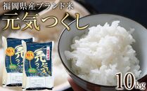＜令和7年産＞福岡県産ブランド米「元気つくし」白米10kg&nbsp;【米&nbsp;ブランド米&nbsp;ブランド&nbsp;白米&nbsp;元気つくし&nbsp;令和7年産&nbsp;家庭用&nbsp;&nbsp;お取り寄せ&nbsp;お土産&nbsp;福岡県産&nbsp;取り寄せ&nbsp;グルメ&nbsp;福岡県&nbsp;筑前町&nbsp;CE012】