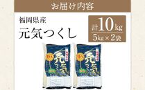 ＜令和7年産＞福岡県産ブランド米「元気つくし」白米10kg&nbsp;【米&nbsp;ブランド米&nbsp;ブランド&nbsp;白米&nbsp;元気つくし&nbsp;令和7年産&nbsp;家庭用&nbsp;&nbsp;お取り寄せ&nbsp;お土産&nbsp;福岡県産&nbsp;取り寄せ&nbsp;グルメ&nbsp;福岡県&nbsp;筑前町&nbsp;CE012】