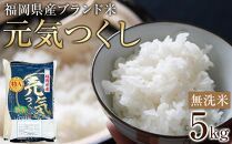 ＜令和7年産＞福岡県産ブランド米「元気つくし」無洗米5kg&nbsp;【米&nbsp;ブランド米&nbsp;ブランド&nbsp;白米&nbsp;無洗米&nbsp;元気つくし&nbsp;令和7年産&nbsp;家庭用&nbsp;&nbsp;お取り寄せ&nbsp;お土産&nbsp;福岡県産&nbsp;取り寄せ&nbsp;グルメ&nbsp;福岡県&nbsp;筑前町&nbsp;CE013】