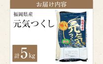 ＜令和7年産＞福岡県産ブランド米「元気つくし」白米5kg&nbsp;【米&nbsp;ブランド米&nbsp;ブランド&nbsp;白米&nbsp;元気つくし&nbsp;令和7年産&nbsp;家庭用&nbsp;&nbsp;お取り寄せ&nbsp;お土産&nbsp;福岡県産&nbsp;取り寄せ&nbsp;グルメ&nbsp;福岡県&nbsp;筑前町&nbsp;CE014】
