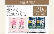 ＜令和7年産＞福岡県産米食べ比べ&nbsp;白米セット「夢つくし」「元気つくし」2種類　計20kg&nbsp;【米&nbsp;ブランド米&nbsp;ブランド&nbsp;白米&nbsp;元気つくし&nbsp;夢つくし&nbsp;令和7年産&nbsp;家庭用&nbsp;&nbsp;お取り寄せ&nbsp;お土産&nbsp;福岡県産&nbsp;取り寄せ&nbsp;グルメ&nbsp;福岡県&nbsp;筑前町&nbsp;CE032】