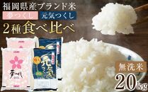 ＜令和7年産＞福岡県産米食べ比べ&nbsp;無洗米セット「夢つくし」「元気つくし」2種類　計20kg&nbsp;【米&nbsp;ブランド米&nbsp;ブランド&nbsp;白米&nbsp;無洗米&nbsp;元気つくし&nbsp;夢つくし&nbsp;令和7年産&nbsp;家庭用&nbsp;&nbsp;お取り寄せ&nbsp;お土産&nbsp;福岡県産&nbsp;取り寄せ&nbsp;グルメ&nbsp;福岡県&nbsp;筑前町&nbsp;CE033】