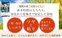 ＜令和7年産＞福岡県産米食べ比べ&nbsp;無洗米セット「夢つくし」「元気つくし」2種類　計20kg&nbsp;【米&nbsp;ブランド米&nbsp;ブランド&nbsp;白米&nbsp;無洗米&nbsp;元気つくし&nbsp;夢つくし&nbsp;令和7年産&nbsp;家庭用&nbsp;&nbsp;お取り寄せ&nbsp;お土産&nbsp;福岡県産&nbsp;取り寄せ&nbsp;グルメ&nbsp;福岡県&nbsp;筑前町&nbsp;CE033】