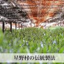 【2024年産】奥八女・星野村の伝統本玉露　80g 【銘茶 福岡銘茶 お取り寄せ 茶 お茶 おちゃ 八女茶 人気 おすすめ ソフトドリンク 飲料 常温 送料無料 CE035】