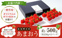 ふくおかエコ農産物認証!!&nbsp;あまおうEXサイズ&nbsp;贈答用&nbsp;約500g（約250×2パック）【&nbsp;いちご&nbsp;苺&nbsp;イチゴ&nbsp;フルーツ&nbsp;果物&nbsp;福岡県産&nbsp;あまおう&nbsp;大粒&nbsp;贈答用&nbsp;ギフト&nbsp;プレゼント&nbsp;人気&nbsp;あまおう&nbsp;認証あまおう&nbsp;福岡県あまおう&nbsp;福岡県&nbsp;筑前町&nbsp;送料無料&nbsp;DG002】