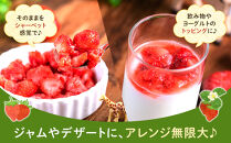 いちごファームキララの冷凍あまおう&nbsp;2kg（500g×4袋）【冷凍&nbsp;甘い&nbsp;濃厚&nbsp;新鮮&nbsp;いちご&nbsp;冷凍あまおう&nbsp;いちご&nbsp;果物&nbsp;アレンジ&nbsp;おやつ&nbsp;フルーツ&nbsp;スイーツ&nbsp;スムージー&nbsp;ジャム&nbsp;アイス&nbsp;けずり苺&nbsp;お取り寄せ&nbsp;お取り寄せグルメ&nbsp;福岡県&nbsp;筑前町&nbsp;送料無料&nbsp;&nbsp;DG004】