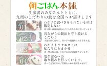 ＜令和7年産＞福岡県産米食べ比べ＜無洗米＞「夢つくし」と「元気つくし」セット　計10kg&nbsp;【米&nbsp;ブランド米&nbsp;ブランド&nbsp;白米&nbsp;無洗米&nbsp;元気つくし&nbsp;夢つくし&nbsp;令和7年産&nbsp;家庭用&nbsp;&nbsp;お取り寄せ&nbsp;お土産&nbsp;福岡県産&nbsp;取り寄せ&nbsp;グルメ&nbsp;福岡県&nbsp;筑前町&nbsp;CE060】