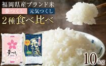 ＜令和7年産＞福岡県産米食べ比べ＜白米＞「夢つくし」と「元気つくし」セット　計10kg&nbsp;【米&nbsp;ブランド米&nbsp;ブランド&nbsp;白米&nbsp;元気つくし&nbsp;夢つくし&nbsp;令和7年産&nbsp;家庭用&nbsp;&nbsp;お取り寄せ&nbsp;お土産&nbsp;福岡県産&nbsp;取り寄せ&nbsp;グルメ&nbsp;福岡県&nbsp;筑前町&nbsp;CE061】