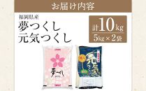 ＜令和7年産＞福岡県産米食べ比べ＜白米＞「夢つくし」と「元気つくし」セット　計10kg&nbsp;【米&nbsp;ブランド米&nbsp;ブランド&nbsp;白米&nbsp;元気つくし&nbsp;夢つくし&nbsp;令和7年産&nbsp;家庭用&nbsp;&nbsp;お取り寄せ&nbsp;お土産&nbsp;福岡県産&nbsp;取り寄せ&nbsp;グルメ&nbsp;福岡県&nbsp;筑前町&nbsp;CE061】