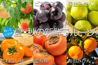 【定期便全6回】夏・秋の新鮮フルーツ定期便