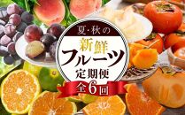 【定期便全6回】夏・秋の新鮮フルーツ定期便  ［TM203］