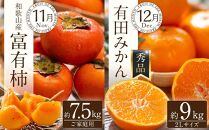 【定期便全6回】夏・秋の新鮮フルーツ定期便 ［TM203］