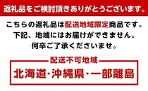 【定期便全6回】夏・秋の新鮮フルーツ定期便 ［TM203］