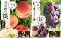 【定期便全6回】夏・秋の新鮮フルーツ定期便 ［TM203］