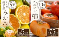 【定期便全6回】夏・秋の新鮮フルーツ定期便 ［TM203］