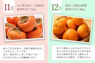 【定期便全6回】夏・秋の新鮮フルーツ定期便