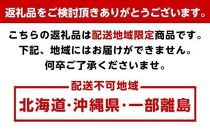 【定期便全3回】産直・厳選フルーツ定期便【TM190】