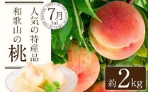 【定期便全3回】産直・厳選フルーツ定期便【TM190】