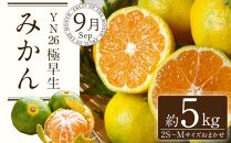 【定期便全3回】産直・厳選フルーツ定期便【TM190】